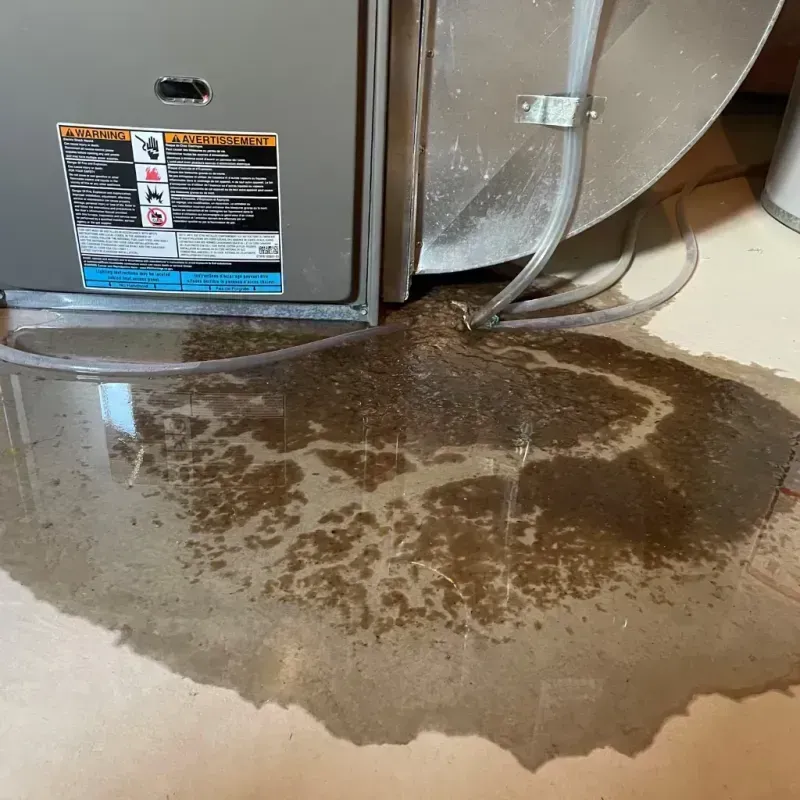 Appliance Leak Cleanup in Walker County, AL